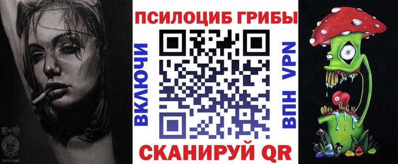 Галлюциногенные грибы Psilocybine cubensis  Купить где  Орехово-Зуево 